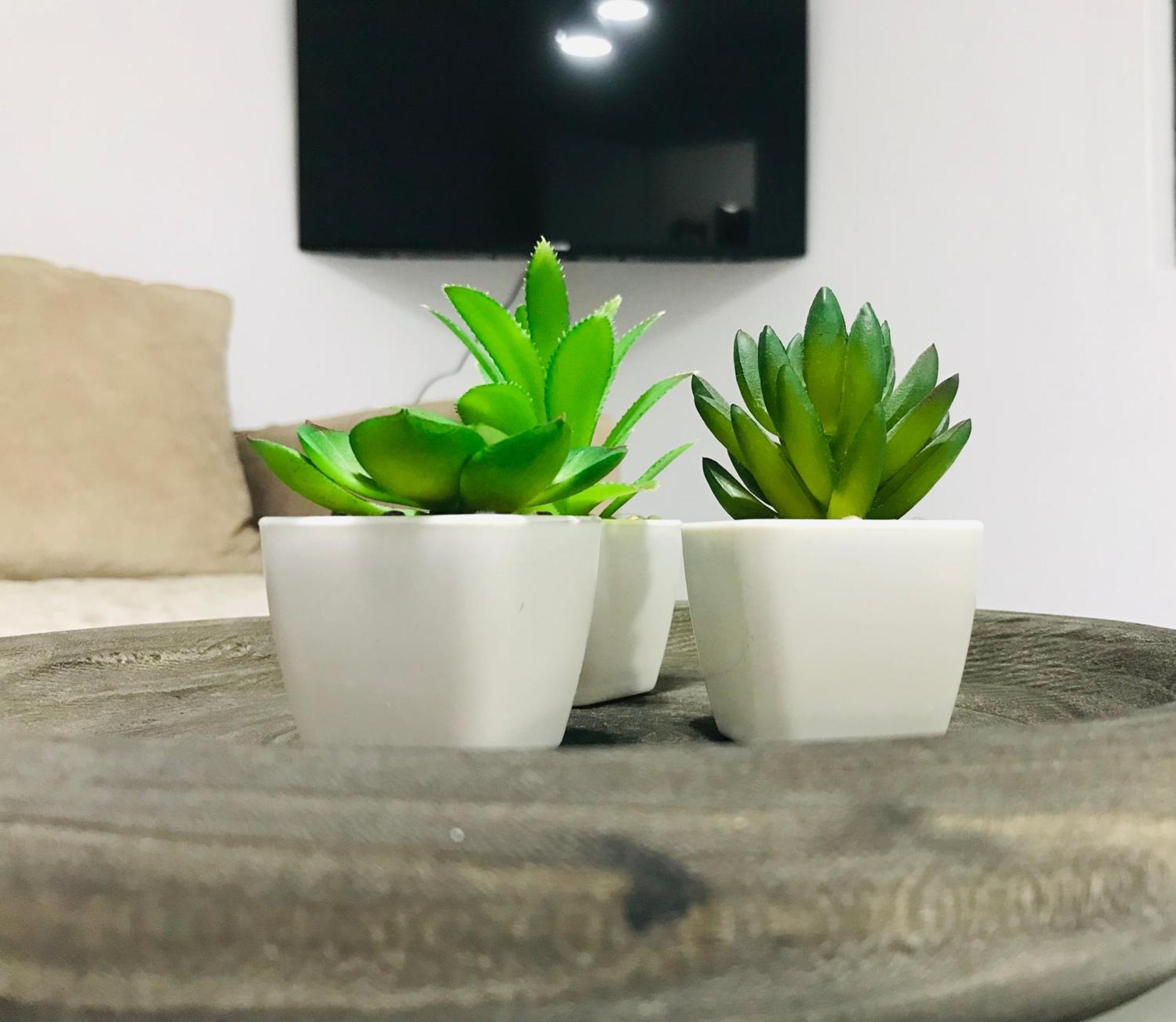 Koli Apartament Berat Esterno foto