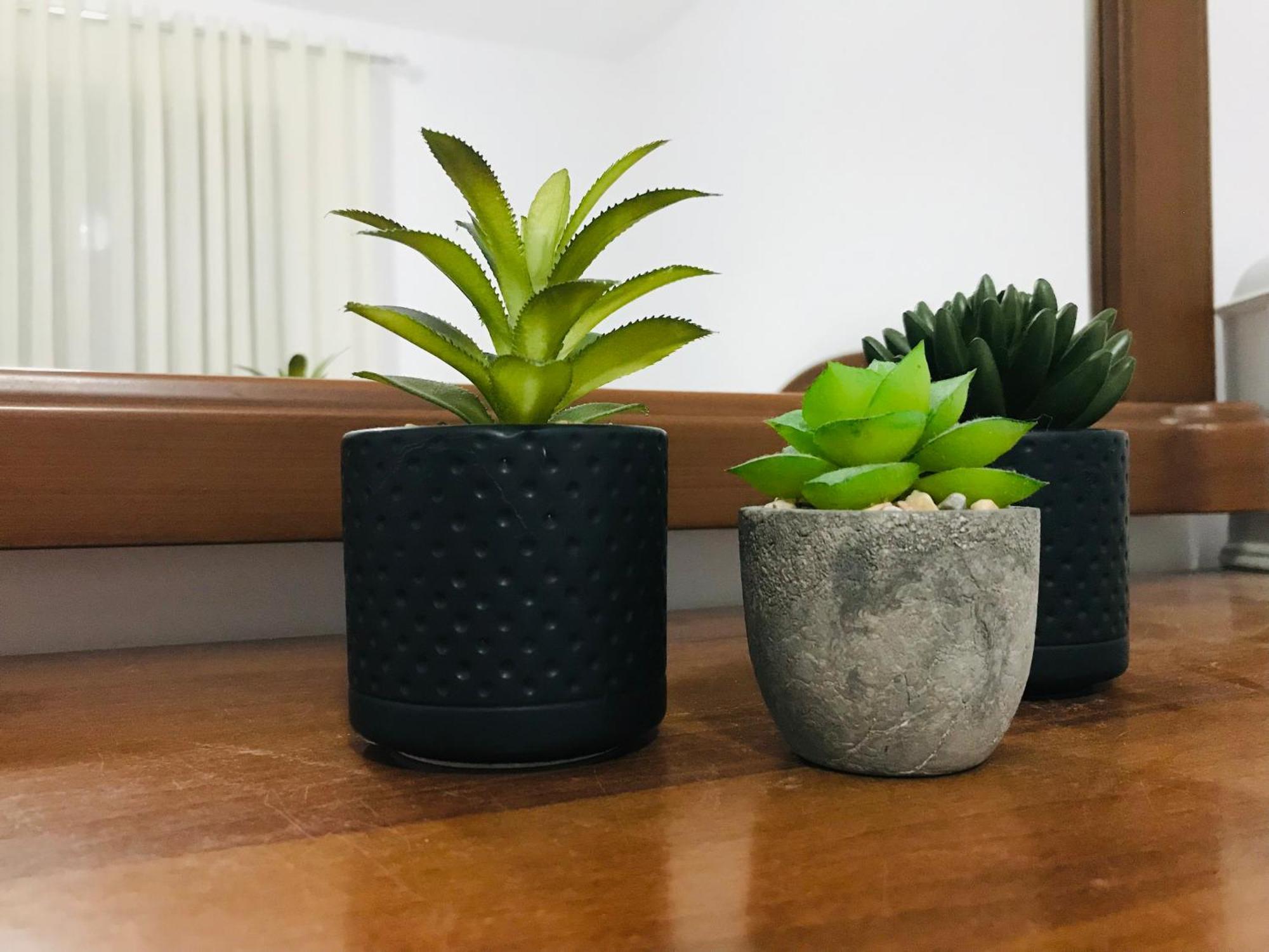 Koli Apartament Berat Esterno foto